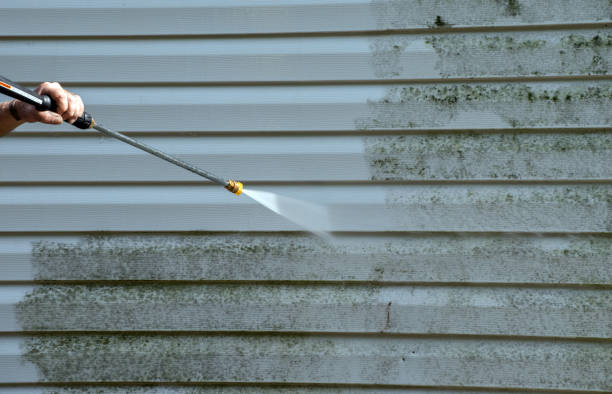 Best Roof Cleaning and Mildew Removal in Gladeville, TN